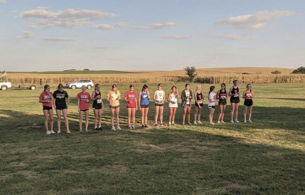cross country medalists
