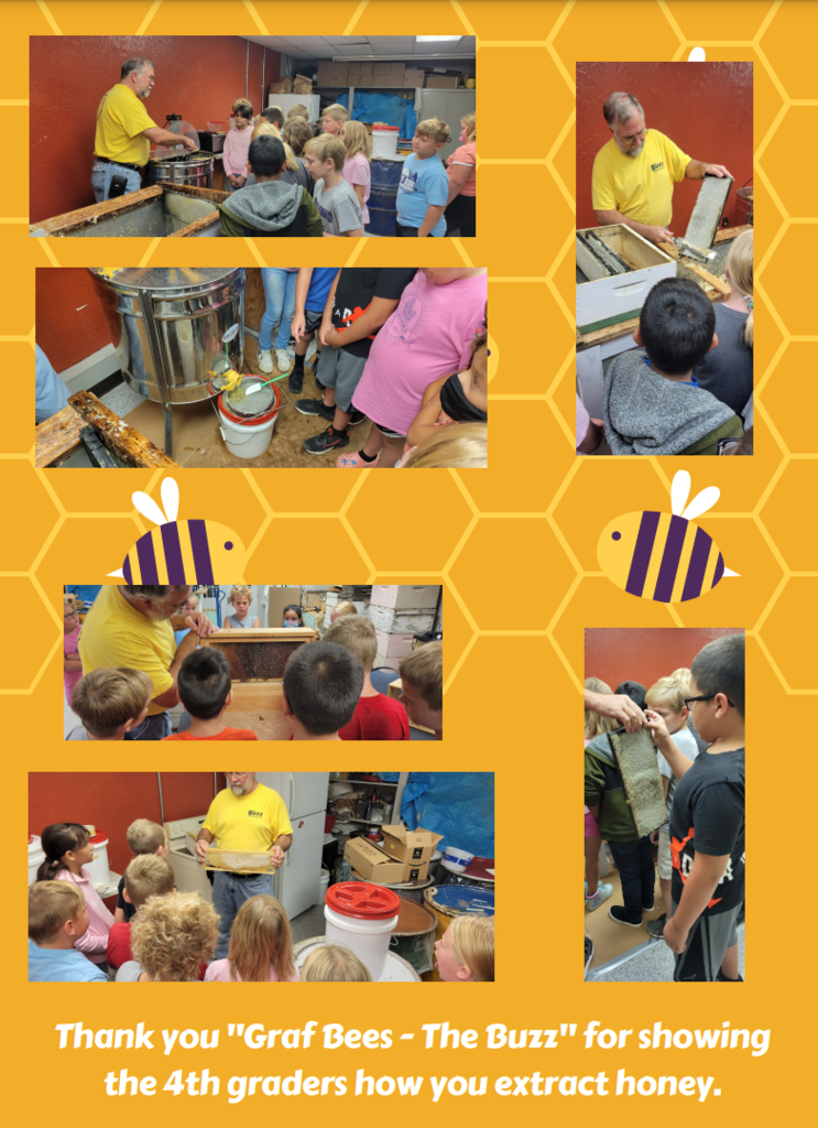4th Grade to "Graf Bee's - The Buzz"